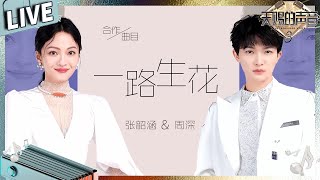 【独家live版】张韶涵周深王炸组合唱神曲《一路生花》再听亿遍！ #天赐的声音3 EP12