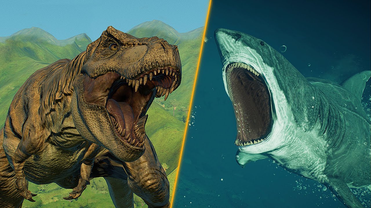 The Dinosaur King T Rex Vs Megalodon Shark Tournament Vrogue Co The Dinosaur King T Rex Vs Megalodon Shark Tournament Vrogue Co
