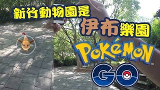 新竹動物園是伊布樂園  | 台灣抓寶日記(3) |Pokemon GO 精靈寶可夢GO