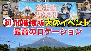 【犬イベント】初開催場所‼️富士山の麓で開催された「わんわんマルシェ」ワンチューバーが集結‼️　#ペットオフ会 #富士山 #ペットユーチューバー #緑豊かな場所 #フードワゴン #最高の一日