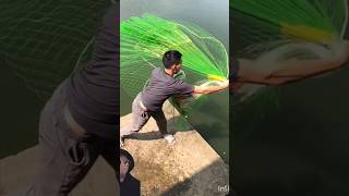 কি সুন্দরভাবে ঝাকি জাল নিক্ষেপ করছে।How beautifully Jhakki is casting net.মাছ ধরার ভিডিও।#fishing