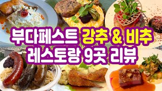 🇭🇺부다페스트 꼭 먹어봐야하는 헝가리음식, 미슐랭 원스타 저녁코스, 가성비 랑구스, 추천하고 싶은 어부의요새 맛집 등을 포함한 헝가리 음식점 8곳과 프랜치식당 1곳-구글맵 공유🌏