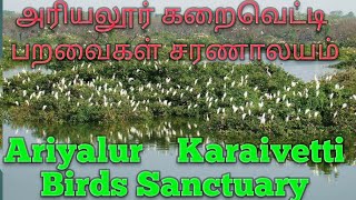 Karaivetti Paravaigal Saranalayam Ariyalur / கறைவெட்டி பறவைகள் சரணாலயம் அரியலூர்