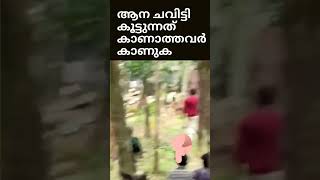 ഓടിക്കോ ടാ......| #Shorts