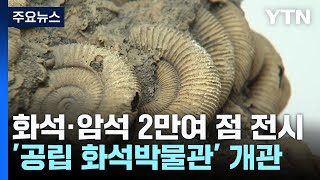 공룡 알·삼엽충 직접 본다...첫 '공립 화석박물관' 대구 달성에 개관 / YTN