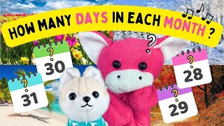The Months Song | How Many Days in Each Month | 365 Days of Fun | Math Notes with Rocko