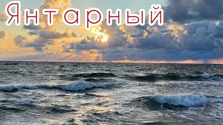 Янтарный пляж 2023. Балтийское море