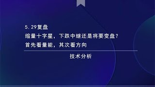 5.29复盘：缩量十字星，下跌中继还是将要变盘？不见兔子不撒鹰