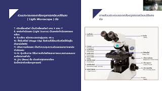 ทัศนอุปกรณ์ กล้องจุลทรรศน์แบบใช้แสง (Ligth Microscope)