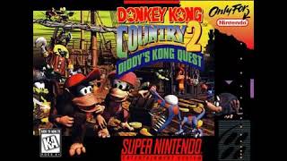 10 HOURS of Forest Interlude REMASTERED - Donkey Kong Country 2 (SNES)
