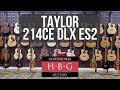 Taylor 214ce DLX ES2 Acoustic Guitar Product Demo