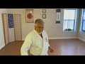 Alex Brice, Shingo ha Yoshukai and sabaki principles (using all angles).