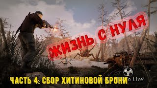 Will To Live Online. Сбор хитиновой брони. Подготовка к фарму.