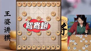 象棋博大精深 鸳鸯炮