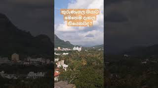 කුරුණෑගල ඇතුගල මෙහෙම දැකල තියෙනවද ? මුලු පලාතම හොඳට පේන තැනක්... Kurunegala 💚