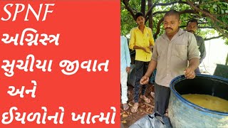 ઘેર બનાવો અગ્નિસ્ત્ર /ઈયળ અને સુચીયા જીવાત  નો ખાત્મો