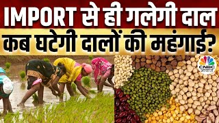 Sowing Of Pulses: बारिश ने बढ़ाई दालों की बुआई, त्यौहार और शादियों से बढ़ेगी मांग? | Commodity