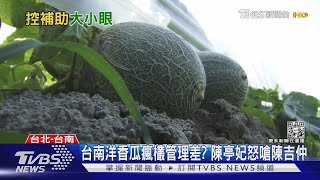 橙蜜瘋欉天災 洋香瓜變人為? 陳亭妃立院怒嗆陳吉仲 ｜TVBS新聞