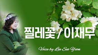 [한국현대대표시낭송]찔레꽃/ 시 이재무, 시낭송/ 이서윤 #좋은시#5월#장미#사랑#어머니#천년의시작#한사람이있었다