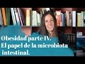 Obesidad parte IV. El papel de la microbiota intestinal.