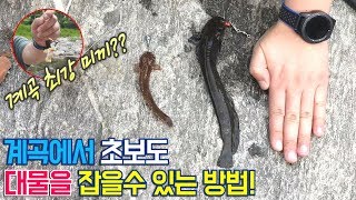 계곡에서 물고기잡기 쉬운방법! 대박 엄청난 대물메기가 ??  Easy way to catch fish in the valley