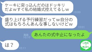 【LINE】結婚式の披露宴でケーキ入刀の瞬間花嫁の顔をケーキに埋めた義妹「ドッキリで〜すｗ」→嫁いびりの悪ノリが悲惨な結末を生むことにｗ