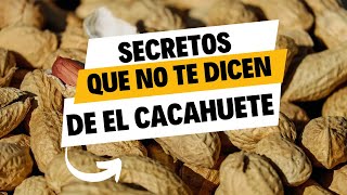 3 Razones por las que los Cacahuates son el Secreto para una Vida más Saludable