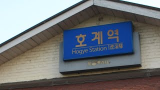 [KORAIL] 동해남부선 제 1602열차 태화강~호계 후부영상