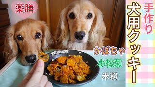 犬用おやつを手作り♪米粉 かぼちゃ 小松菜の薬膳クッキー(ASMR 咀嚼音もあるよ)