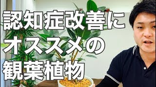 【認知症】認知症患者さんのいらっしゃる家に置いてほしい植物はコレ【富山】