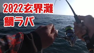 2022玄界灘　初鯛ラバ　釣った鯛の処理を解説！