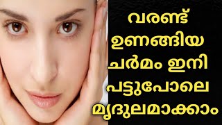 100% natural soft smooth glowing skin # വരണ്ട് ഉണങ്ങിയചർമം  പട്ടുപോലെ മൃദുലമാക്കം