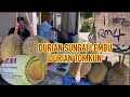 King Street Fruit || Durian Sg Lembu, Durian Tok Kun, Durian Junjung Penang || Durian kampung murah.