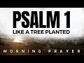 PSALM 1: Say This Morning Prayer To Start Your Day With God