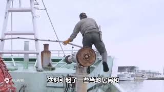 日本海滩又现大量死鱼，原因不明