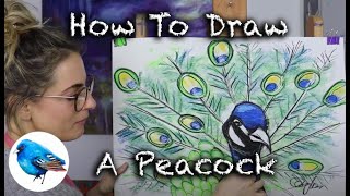 Learn how to draw A PEACOCK: STEP BY STEP GUIDE (Age 5 +)