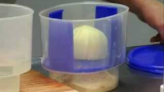 Video Recipe How to make Onion Blossom