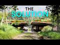 The Breakthrough Restoring Britain's Lost Rainforest