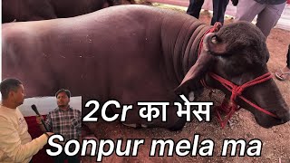 Sonpur mela 🎡 में 2 cr का भेस (बिजली Buffalo)🦬