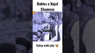 Kutay Najaf nahi Jaty #hassansadiq #alizamin #new #qasida #shia #shortsvideo #islamic