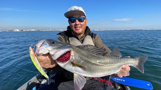 シーバスがすげ〜釣れるルアー発見！その名はORA CloneB