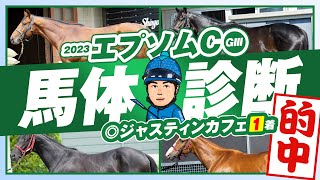 【エプソムC 2023】安田記念は◎ソングライン４人気１着！得意の東京で狙える馬体はコレだ！某大手牧場の元スタッフが見抜く重賞馬体診断・フォトパドック【競馬予想】