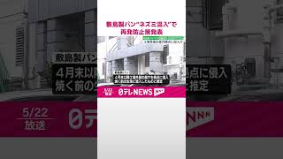 【敷島製パン】“ネズミ混入”工場外部の巣穴拠点に侵入か  再発防止策発表  #shorts