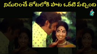 Mutyala Muggu Songs || Nidurinche Totaloki || Sreedhar, Sangeeta | Old Telugu Song