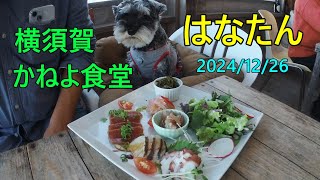 横須賀 走水海岸 かねよ食堂