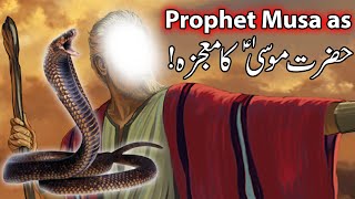 Hazrat Musa as Ka Mojza | Prophet Moosa Firon Waqia | Moses Story | Qasas ul Anbiya Mehrban Ali Nabi