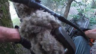 Cutting limbs off a house