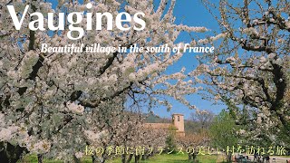 French countryside in the south of France, Vaugines/Cherry blossom/Provence/Luberon/village/Spring