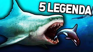 TOP 5 | LEGENDA AMI IGAZ VAGY NEM!! (MOST KIDERÜL!) #5