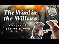 The Wind in the Willows | Chapter 3 | Bedtime Story for Kids | Forest Adventure